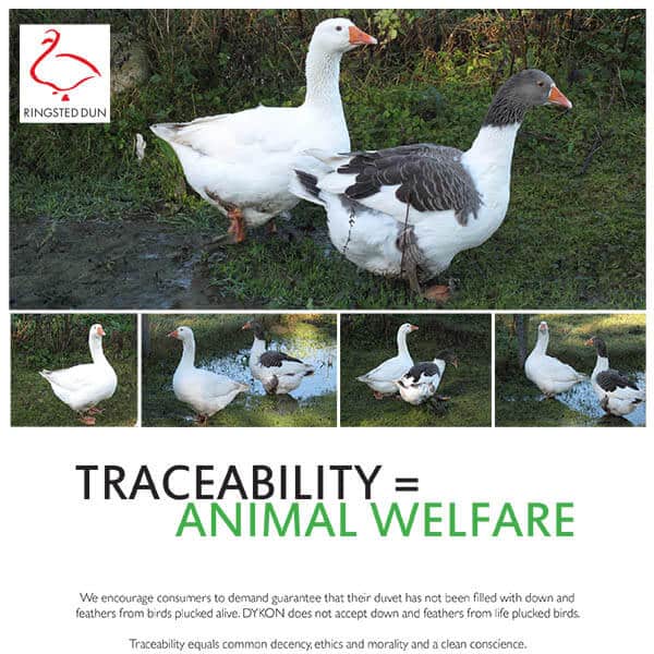 Ringsted Dun Svinaherden Duntäcke